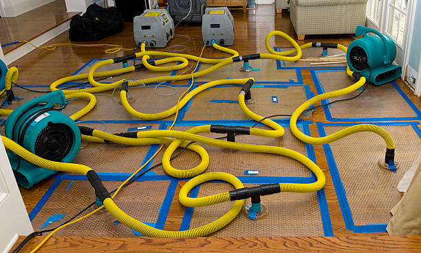 Professional Water Damage Repair technician working in Belvidere, TN